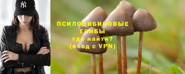 apvp Абдулино