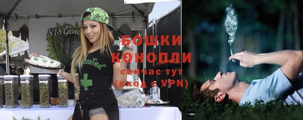 стафф Гусь-Хрустальный
