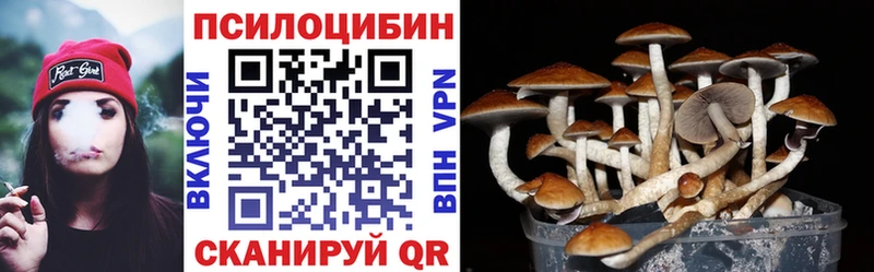 Галлюциногенные грибы мицелий  мориарти какой сайт  Гусиноозёрск  kraken зеркало 